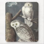 Snowy Owl, John Audubon Mousepad