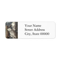 Snowy Owl, John Audubon Return Address Label