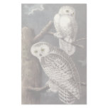 Snowy Owl, John Audubon Stationery