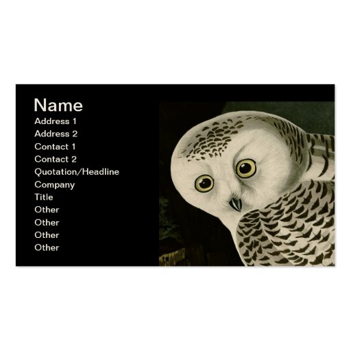 Snowy Owl, John James Audubon Business Card Template