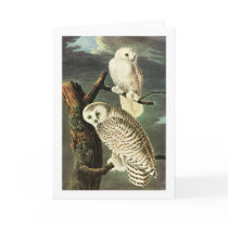 Snowy Owl, John James Audubon Card