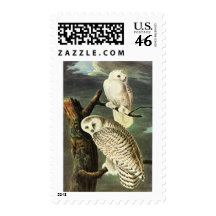 Snowy Owl, John James Audubon Postage Stamp