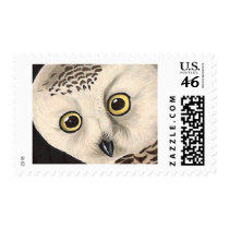 Snowy Owl, John James Audubon Stamps