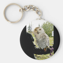 Snowy Owl Key Chains