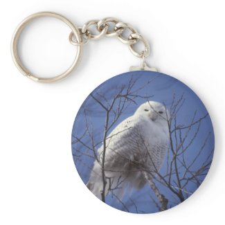 Snowy Owl Keychain keychain