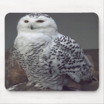 Snowy owl mousepad by Thorninger Snowy owl mousepad