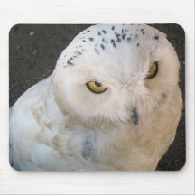 Snowy Owl Mousepads