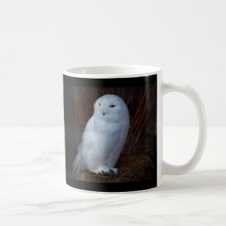 Snowy Owl - mug