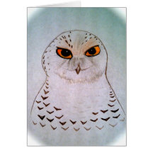 Snowy Owl Notecards