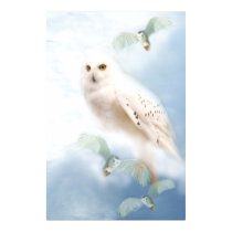 Snowy Owl on canvas posters