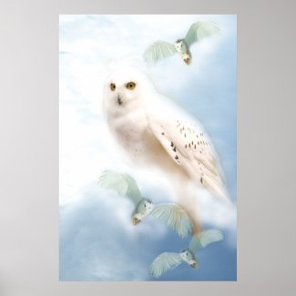Snowy Owl on canvas print