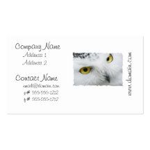 Snowy Owl Photo Business Cards