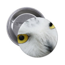 Snowy Owl Photo Button