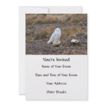 Snowy Owl Photo Personalized Invite