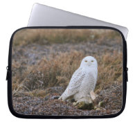 Snowy Owl Photo Laptop Computer Sleeve