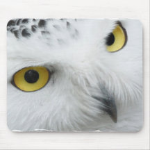 Snowy Owl Photo Mouse Pad