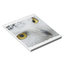Snowy Owl Photo Notepad