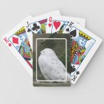 Snowy Owl Playing Cards