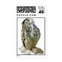 Snowy Owl postage