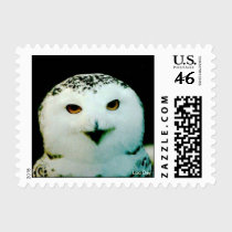 Snowy Owl Postage stamps