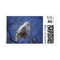 Snowy Owl Postage postage