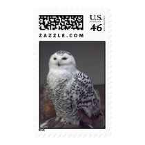 Snowy owl postage