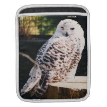 snowy owl Rickshaw iPad sleeve