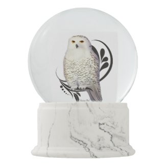 Snowy Owl Snow Globes