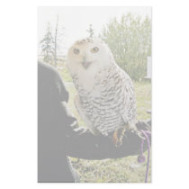 Snowy Owl Stationery Design