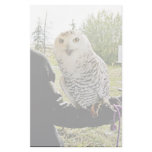 Snowy Owl Stationery Design