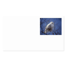 Snowy Owl - White Bird against a Sapphire Blue Sky Business Card Templates
