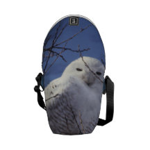Snowy Owl - White Bird against a Sapphire Blue Sky Courier Bag