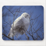 Snowy Owl - White Bird against a Sapphire Blue Sky Mousepad