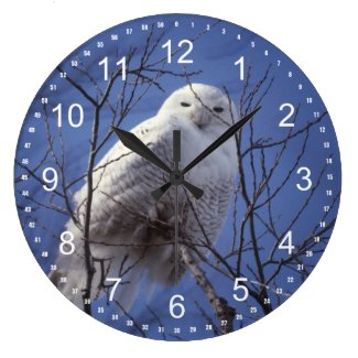 Snowy Owl - White Bird Turquoise Blue Sky Clock