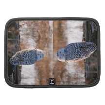 Snowy Owl Winking Folio Planner