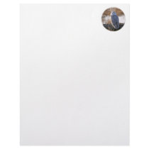 Snowy Owl Winking Personalized Letterhead