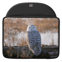 Snowy Owl Winking Sleeves For MacBook Pro