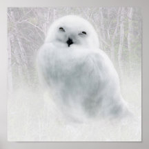 Snowy Owlet Poster