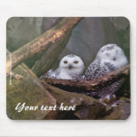 Snowy Owls Mousepad