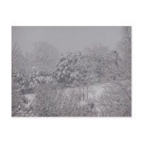 Snowy Paradise Postcard