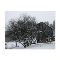 Snowy Parents' Yard Post Card