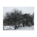 Snowy Parents' Yard postcards
