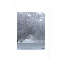 Snowy Passage posters