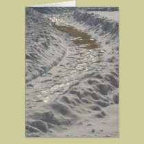 Snowy Path cards