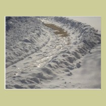Snowy Path postcards