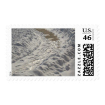 Snowy Path Stamps