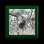Snowy Pine Branch Gift Box