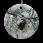 Snowy Pine Branch Ornament
