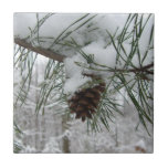 Snowy Pine Branch Tile