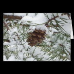 Snowy Pine Cone Card